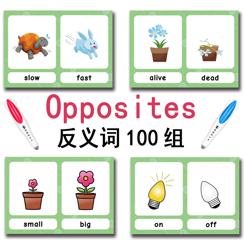 The 100 Groups Opposites Flash - Kids Educational Gadget ulasan dan harga