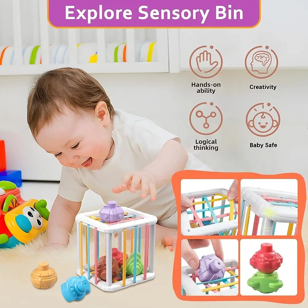 Rainbow Colorful Montessori Sh - Kids Educational Gadget ulasan dan harga