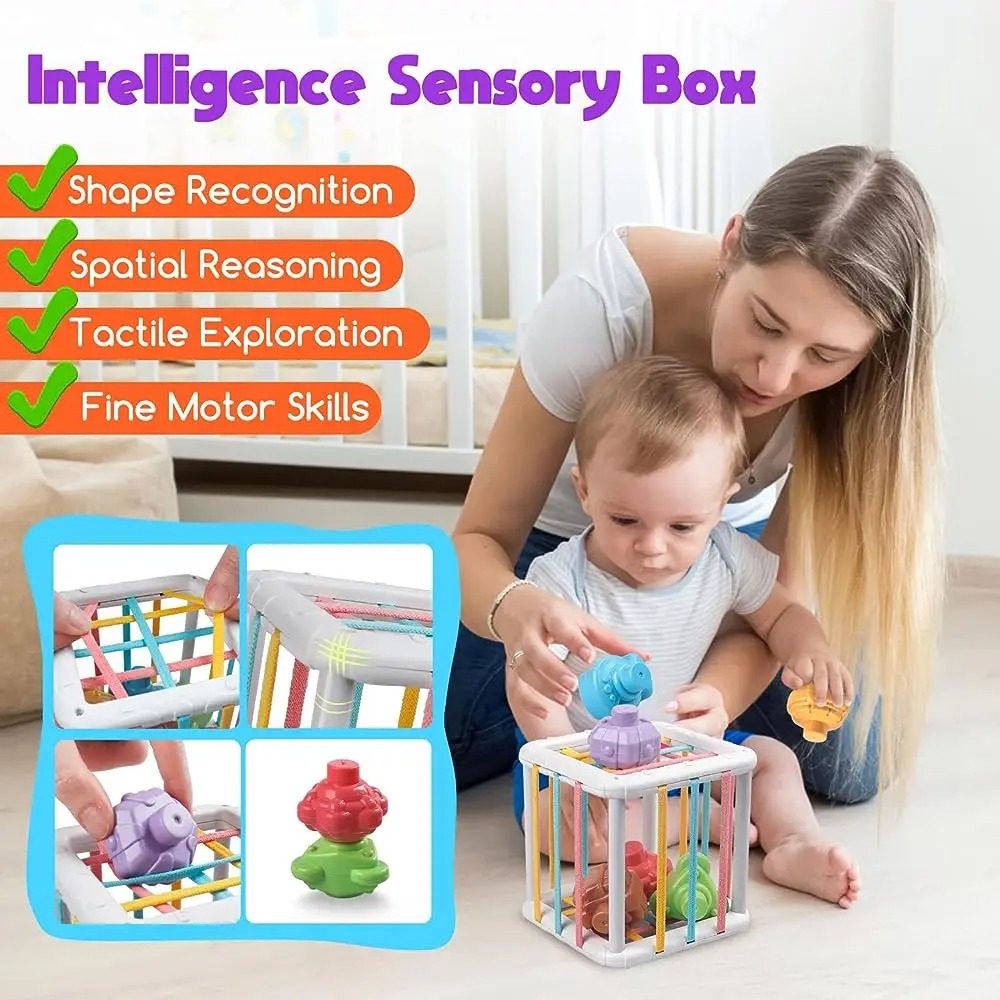 Rainbow Colorful Montessori Sh - Kids Educational Gadget ulasan dan harga
